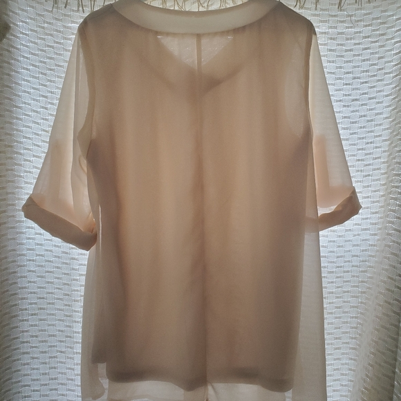 Loose Sheer Blouse - Picture 2 of 2
